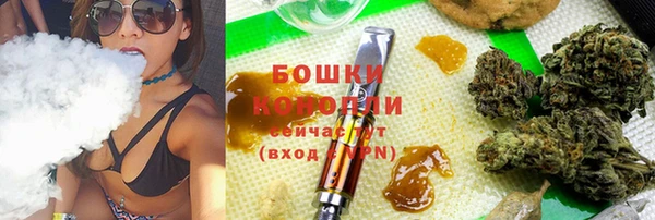 альфа пвп Бородино