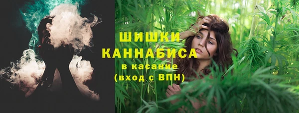 альфа пвп Бородино