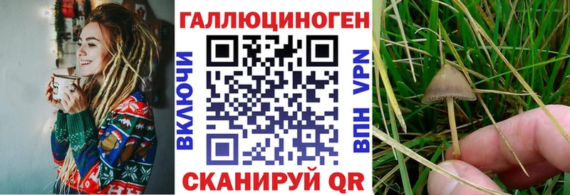Псилоцибиновые грибы Magic Shrooms  Купить где  Биробиджан 